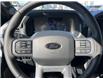 2025 Ford F-150 XLT (Stk: VF1F00929) in Chatham - Image 15 of 22