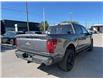 2025 Ford F-150 Lariat (Stk: VF1F00937) in Chatham - Image 4 of 23