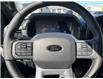2025 Ford F-150 Lariat (Stk: VF1F00937) in Chatham - Image 16 of 23