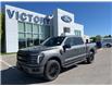 2025 Ford F-150 Lariat (Stk: VF1F00937) in Chatham - Image 23 of 23