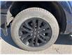 2025 Ford F-150 XLT (Stk: VF1F00949) in Chatham - Image 7 of 22