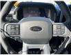 2025 Ford F-150 XLT (Stk: VF1F00949) in Chatham - Image 15 of 22