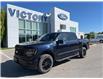 2025 Ford F-150 XLT (Stk: VF1F00949) in Chatham - Image 22 of 22