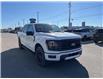 2025 Ford F-150 XLT (Stk: VF1F00898) in Chatham - Image 5 of 23