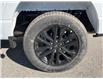2025 Ford F-150 XLT (Stk: VF1F00898) in Chatham - Image 13 of 23