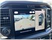 2025 Ford F-150 XLT (Stk: VF1F00898) in Chatham - Image 22 of 23