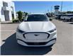 2025 Ford Mustang Mach-E Select (Stk: VFME00426) in Chatham - Image 6 of 23
