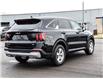 2025 Kia Sorento 2.5L LX (Stk: LKSO00325) in Chatham - Image 6 of 29