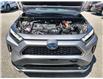 2023 Toyota RAV4 Prime XSE (Stk: 125902) in Ottawa - Image 25 of 25