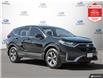2020 Honda CR-V LX (Stk: S11492A) in Hamilton - Image 7 of 30