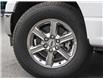 2024 Ford F-150 XLT (Stk: T41046) in St. Thomas - Image 7 of 22