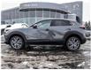 2025 Mazda CX-30 GS (Stk: B8721) in Waterloo - Image 5 of 27