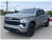 2024 Chevrolet Silverado 1500 RST (Stk: W9019) in Uxbridge - Image 4 of 9
