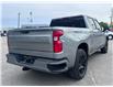 2024 Chevrolet Silverado 1500 RST (Stk: W9019) in Uxbridge - Image 8 of 9