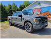 2021 Ford F-150 XLT in Sunny Corner - Image 1 of 16