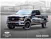 2025 Ford F-150 XLT (Stk: 250560) in Toronto - Image 1 of 24