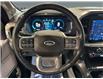 2021 Ford F-150 Lariat (Stk: S9625A) in ROSETOWN - Image 14 of 17