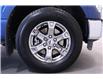 2022 Ford F-150  (Stk: X272818A) in Winnipeg - Image 17 of 18