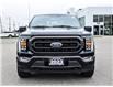 2023 Ford F-150 XLT (Stk: VF00368R) in Chatham - Image 8 of 34