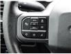 2023 Ford F-150 XLT (Stk: VF00368R) in Chatham - Image 23 of 34