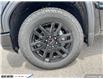 2025 GMC Sierra 1500 Elevation (Stk: 335862) in Goderich - Image 9 of 28