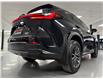 2023 Lexus NX 250 Base (Stk: A8972) in Saint-Eustache - Image 10 of 27