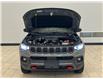 2023 Jeep Compass Trailhawk (Stk: T557409) in Courtenay - Image 9 of 17
