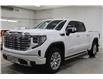 2024 GMC Sierra 1500 Denali (Stk: S1467A) in Watrous - Image 4 of 48
