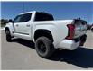 2024 Toyota Tundra Platinum (Stk: X131015M) in Cranbrook - Image 3 of 22
