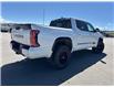 2024 Toyota Tundra Platinum (Stk: X131015M) in Cranbrook - Image 5 of 22