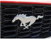 2025 Ford Mustang EcoBoost (Stk: 25MG8868) in London - Image 7 of 9