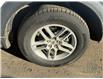 2025 Ford Explorer Active (Stk: 25DEX017) in Drayton Valley - Image 14 of 14