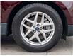 2021 Ford Edge SEL (Stk: WN25480A) in Welland - Image 6 of 28