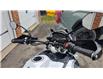 2020 Triumph Tiger 1200 SE Alpine Edition in Sudbury - Image 4 of 6