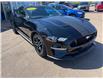 2019 Ford Mustang GT in Charlottetown - Image 5 of 17