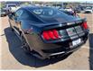 2019 Ford Mustang GT in Charlottetown - Image 9 of 17