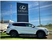 2019 Hyundai Santa Fe Luxury (Stk: 250917A) in Calgary - Image 2 of 24