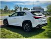 2020 Lexus UX 250h Base (Stk: 250590D) in Calgary - Image 4 of 23