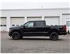 2025 Ford F-150 XLT (Stk: F51827) in GEORGETOWN - Image 5 of 28