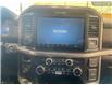 2025 Ford F-150 XLT (Stk: 0T5224) in Kamloops - Image 19 of 26