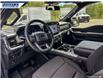 2025 Ford F-150 XLT (Stk: 27206) in Dartmouth - Image 12 of 24