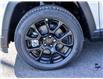 2025 Jeep Compass Altitude (Stk: 25037) in Embrun - Image 15 of 20