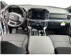 2025 Ford F-150 XLT (Stk: 12082) in Golden - Image 11 of 17