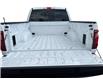 2025 Ford F-150 XLT (Stk: 12082) in Golden - Image 13 of 17