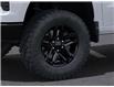 2025 Chevrolet Silverado 1500 Custom Trail Boss (Stk: 25T212) in Wadena - Image 9 of 24