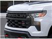 2025 Chevrolet Silverado 1500 Custom Trail Boss (Stk: 25T212) in Wadena - Image 13 of 24