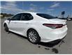2020 Toyota Camry Hybrid LE (Stk: W288174A) in Cranbrook - Image 3 of 17