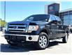 2013 Ford F-150  (Stk: X045468A) in Cranbrook - Image 1 of 18