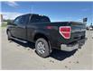 2013 Ford F-150  (Stk: X045468A) in Cranbrook - Image 3 of 18