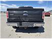 2013 Ford F-150  (Stk: X045468A) in Cranbrook - Image 4 of 18